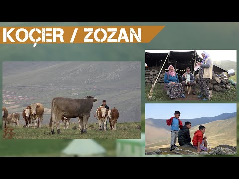 KOÇER / ZOZAN / ÎDIR