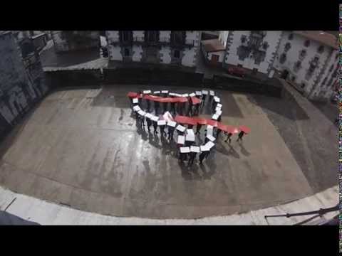 Dispertsioa gelditu, Euskal preso eta iheslariak etxera, amnistia!- Leitza