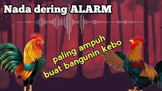 Download lagu Nada dering 🎶paling ampuh bangunin orang tidur mp3 Download lagu Nada dering 🎶paling ampuh bangunin orang tidur mp3