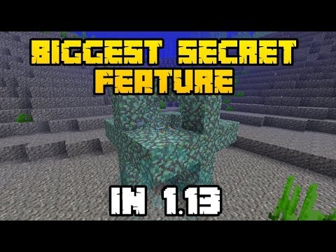 THE SECRET USE FOR CONDUIT! // Minecraft 1.13 Secrets