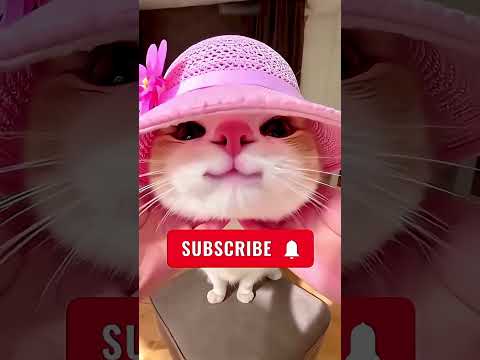 هذا الرجل لم يفهم كيف تُرتدى قميص زوجته! 😂👕