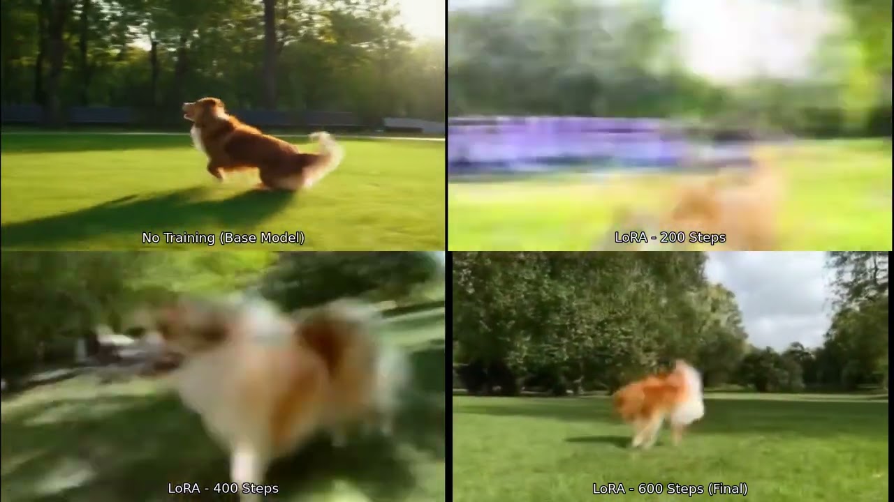 HunyuanVideo LoRA Demo