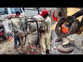 Full Horse Hoof Restoration Farrier Oddly Satisfying ASMR