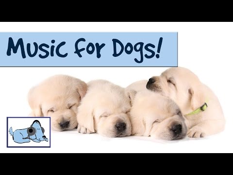 DOG MUSIC - RELAX YOUR DOG! UNIQUE SOUND TECHNOLOGY RelaxMyDog 🐶 RMD05