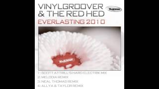 Vinylgroover & The Red Hed - Everlasting (Original Mix) [Nukleuz Records]
