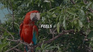 Calvin Harris - Feels (feat Pharrell Williams Katy