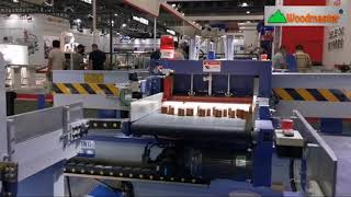 Cụm máy phay mộng finger tự động | WM-IAT620S