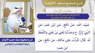 (42) باب قول النبي صلى الله تعالى عليه وسلم "من حمل علينا السلاح فليس منا" / صحيح مسلم