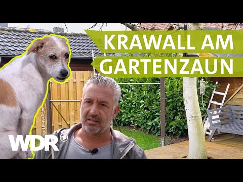 Dem Hund die richtigen Signale senden | Hunde verstehen | S03/E05 | WDR