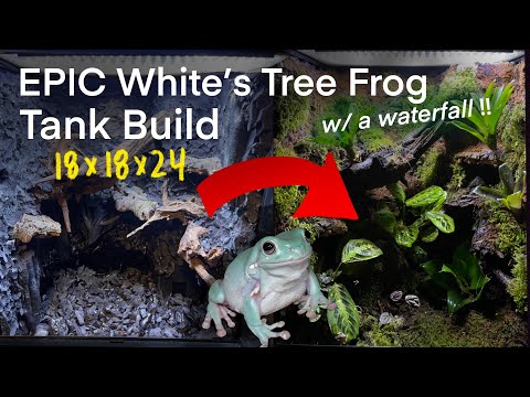 Bau eines bioaktiven Vivariums für Whites Laubfrosch! 18 x 18 x 24 mit Wasserfall – Schritt für S...