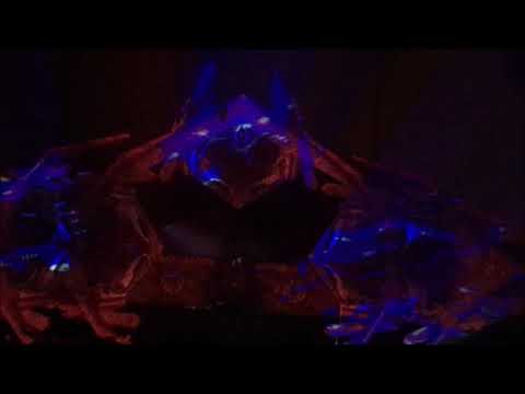 Psychological  - Sonoora (7 anos) - São Paulo (Abril/2019)