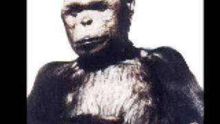 Humanzee by Tetra Pak