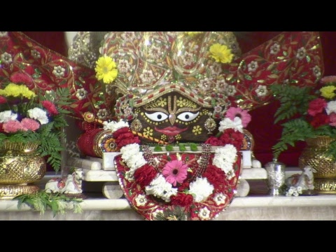 Sunday Feast Lecture - HH Hanumatpresaka Swami