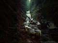 10 Seconds Of Pure Nature Sounds Share This With Someone Who Loves Listening To Nature Sounds