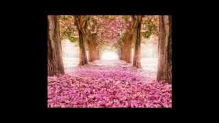 gina g    follow the light