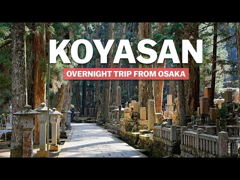 高野山 | 從大阪出發的過夜之旅 (Koyasan | Overnight Trip From Osaka)