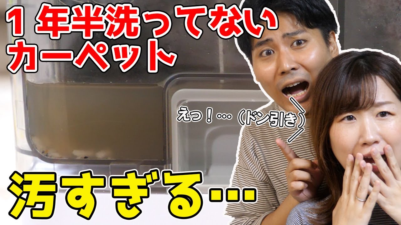 1年半洗ってないカーペットを洗ったら、衝撃の結果に…