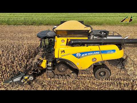Maisernte 2024 - Mähdrescher New Holland CR10.90 & Pflücker Körnermais dreschen Traktor corn harvest