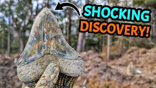 Download lagu We Dug DEEP and Found MASSIVE Shark's Teeth with Palmetto Fossil Excursions! mp3
