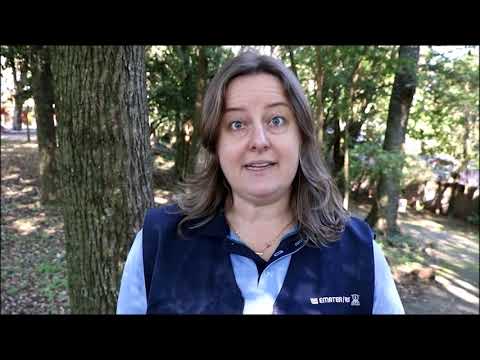 https://www.youtube.com/watch?v=7ooBifdTDuo