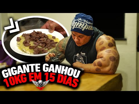 COMO GANHAR 10KG EM 15 DIAS COM FABIO GIGA