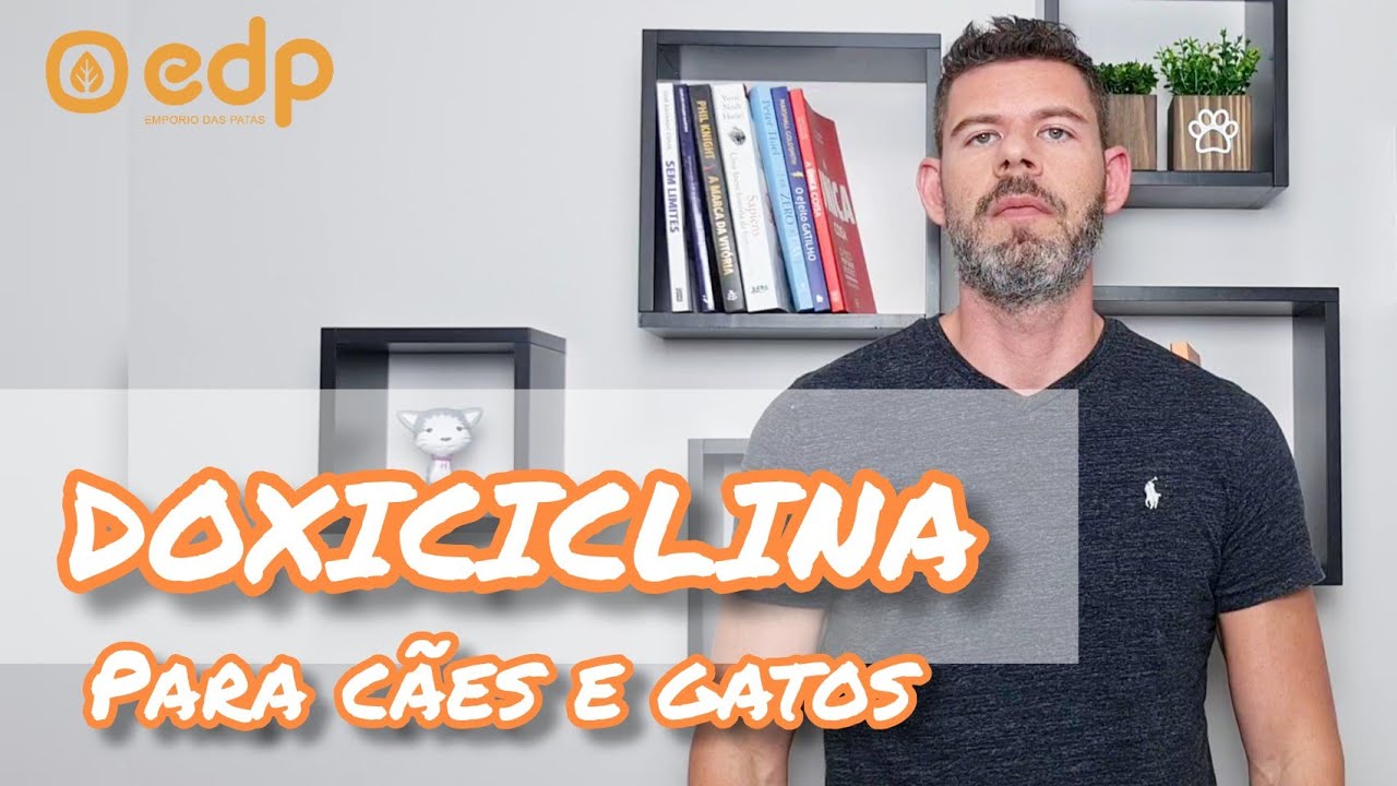 Watch Now 141 | ANTIBIÓTICO DOXICICLINA PARA CÃES E GATOS 141 | ANTIBIÓTICO DOXICICLINA PARA CÃES E GATOS