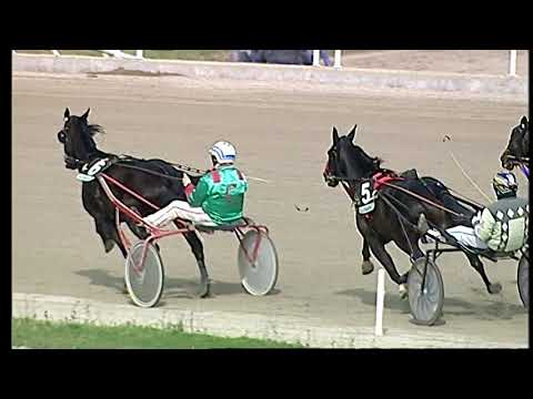 Napoli Trotto 19/02/2021 - 1ª corsa