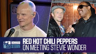 Red Hot Chili Peppers Share Stevie Wonder’s Reaction to Their Cover of “Higher Ground”