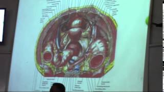 16) Dr. Hossam 23/4/2015