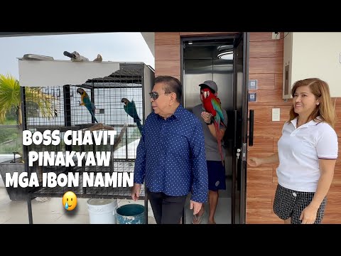 PINAKYAW NI CHAVIT SINGSON ANG IBON NG MURILLO BROS! Showing our bird to boss Chavit! | Murillo Bros