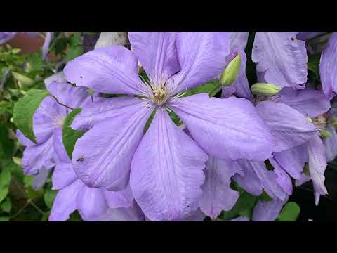 Paulo Coelho: A kém 1. rész