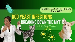 Yeast Infections in Dogs: Common Myths & Holistic Remedies - Holistic Vet Advice