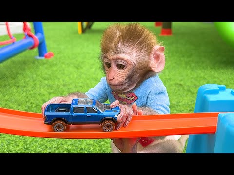 Baby Monkey Bon Bon Broken Truck While Harvesting Fruit and Get Helped By Puppy
