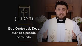 Daily Homily | Tuesday - Christmas Season before Epiphany (Jn 1:29-34)