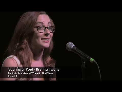 r.i.PSI // World Poetry Slam 2014 Finals
