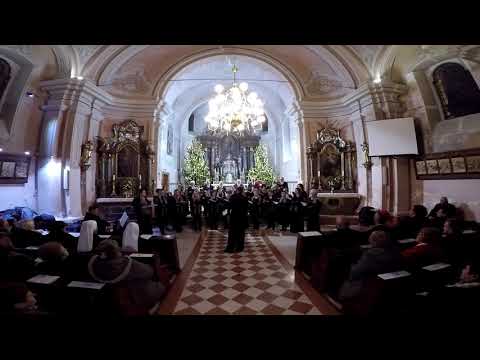 Lovro Županović: SLAVA BOGU