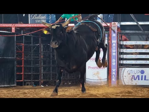 FINAL DISPUTE in BULLS | JACAREÍ-SP Rodeo 2025