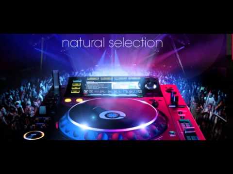 Hardwell spaceman vs i need your love ( Cédric Owells bootleg )