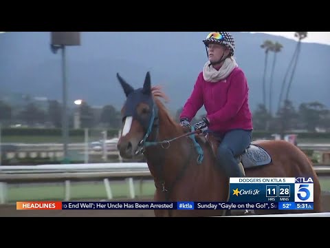 Santa Anita Race Track Under Close Scrutiny After 26th Horse Death