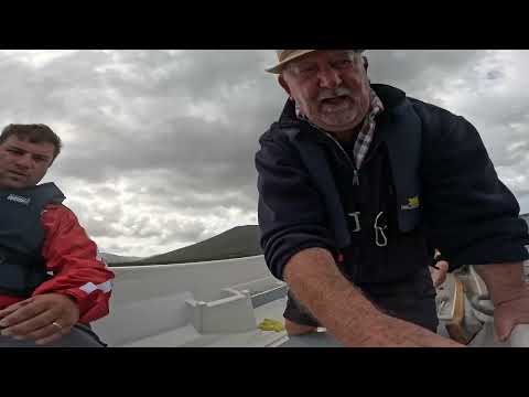 Terhi Nordic 6020, Yamaha 20HP and Trailer - Image 2