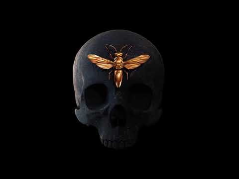 Mis Gato - Pa Conten