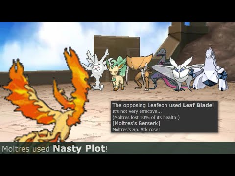 Nasty Plot + Berserk Galarian Moltres SWEEP (pokemon showdown)