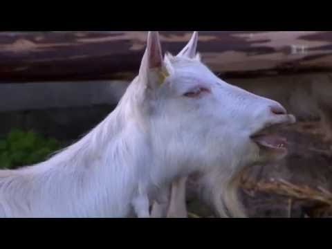 Theresia Hollenstein, Brülisau AI - Landfrauenküche vom 23.9.2016