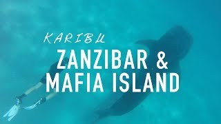 Zanzibar & Mafia Island - a trip to Tanzania