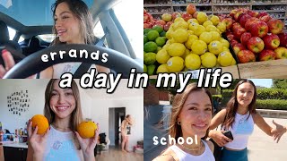 VLOG ★ grocery shopping + school