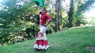 Flamenco e folcrore andaluso video preview