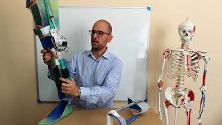 WikiCREB - Prótesis vs ortesis