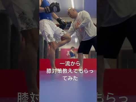 格闘技膝対策編# #総合格闘技 #キックボクシング
