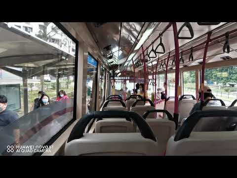 [SBST] SBS8767U On Service 163 - Scania K230UB Euro V Gemilang Batch 1