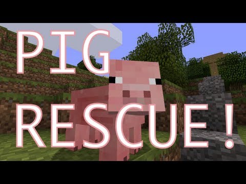 Flippehh Clip #13 | Pig Savior